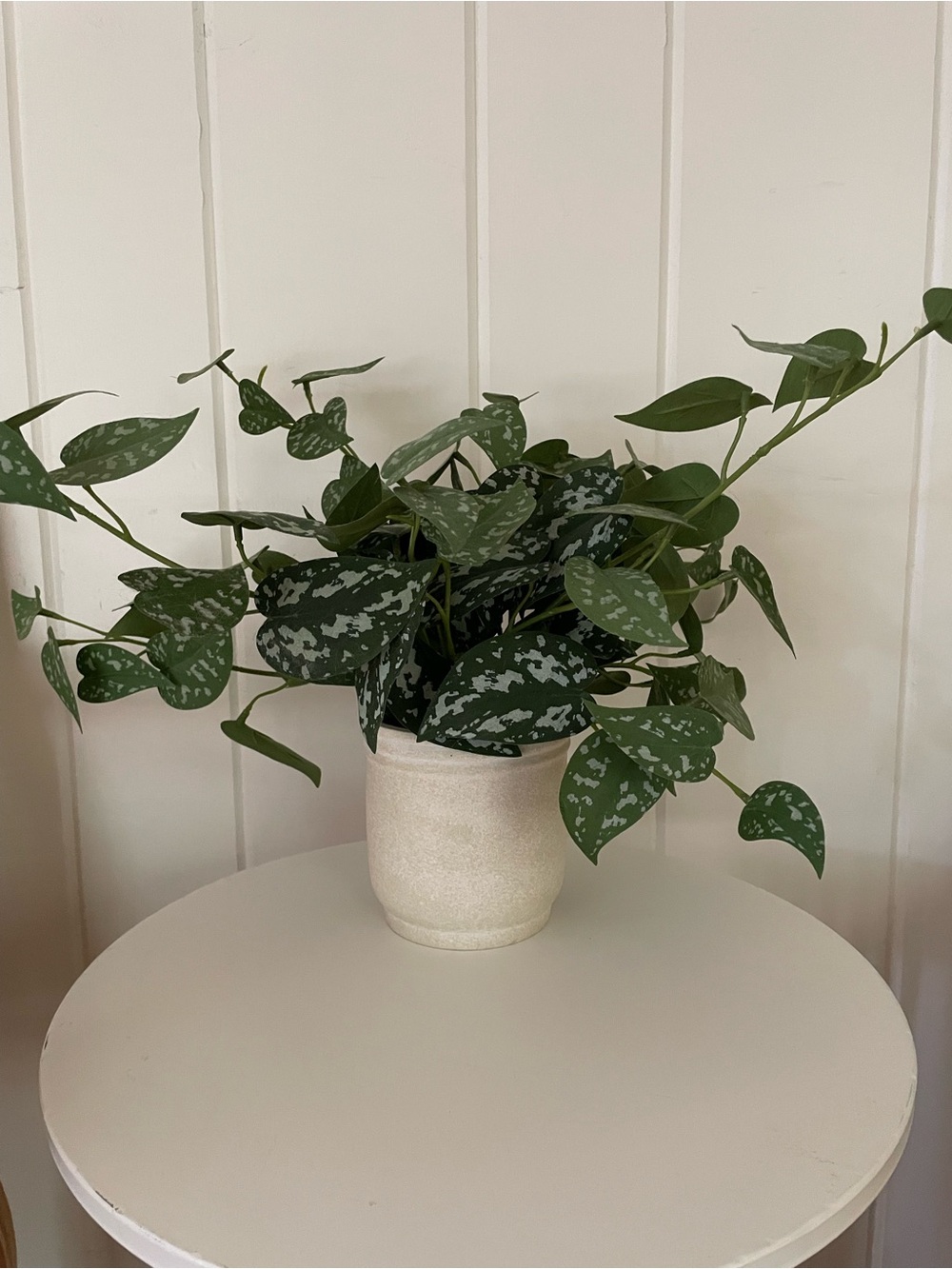 Tabletop Arrangement